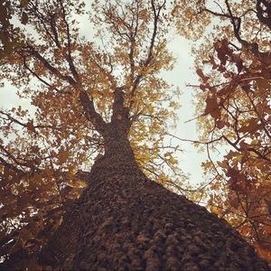 Meet your Posher, Christa